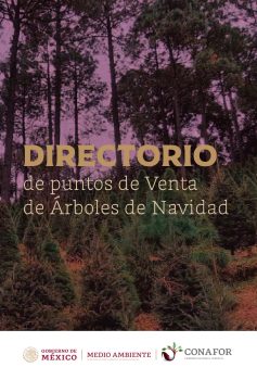 Captura de Pantalla 2020-12-07 a la(s) 10.36.22